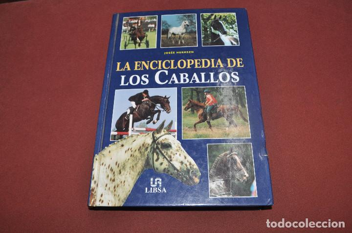 Libros: La enciclopedia de los caballos - jos&eacute;e hermsen - AN1 - Foto 1
