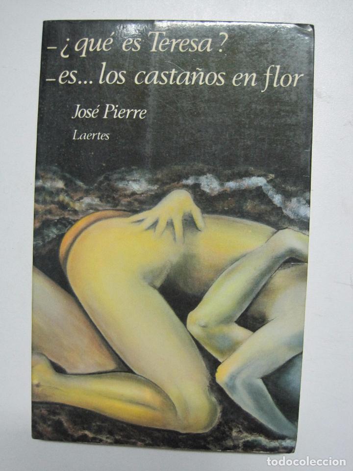 Libros: &iquest;Qu&eacute; es Teresa? Es... los casta&ntilde;os en flor / Pierre, Jos&eacute; - Foto 1