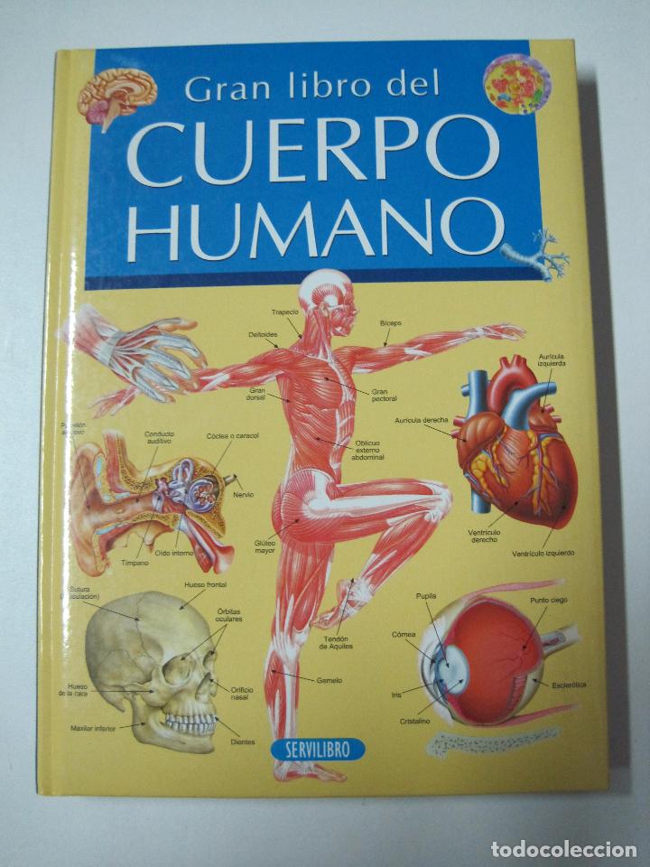 Libros: Gran Libro Del Cuerpo Humano - Foto 1