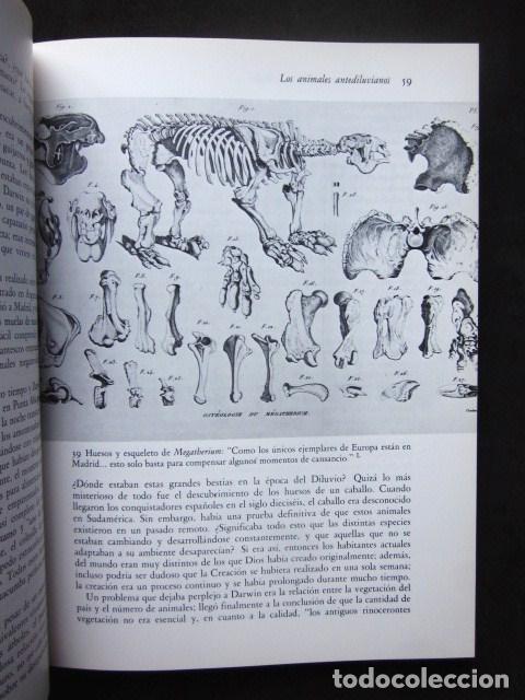Libros: Alan Moorehead: Darwin. La expedici&oacute;n en el Beagle (1831-1836), Rese&ntilde;a, 1991 - Foto 3