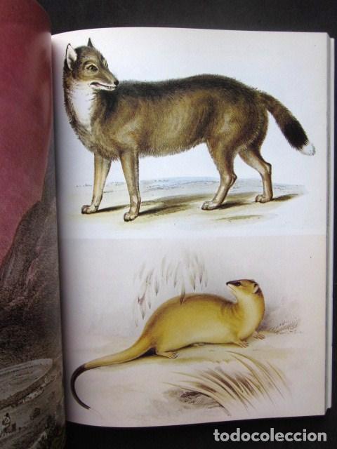 Libros: Alan Moorehead: Darwin. La expedici&oacute;n en el Beagle (1831-1836), Rese&ntilde;a, 1991 - Foto 4