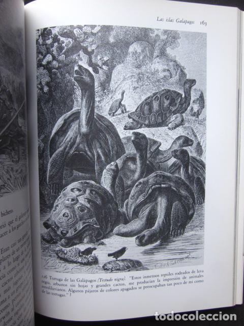 Libros: Alan Moorehead: Darwin. La expedici&oacute;n en el Beagle (1831-1836), Rese&ntilde;a, 1991 - Foto 7