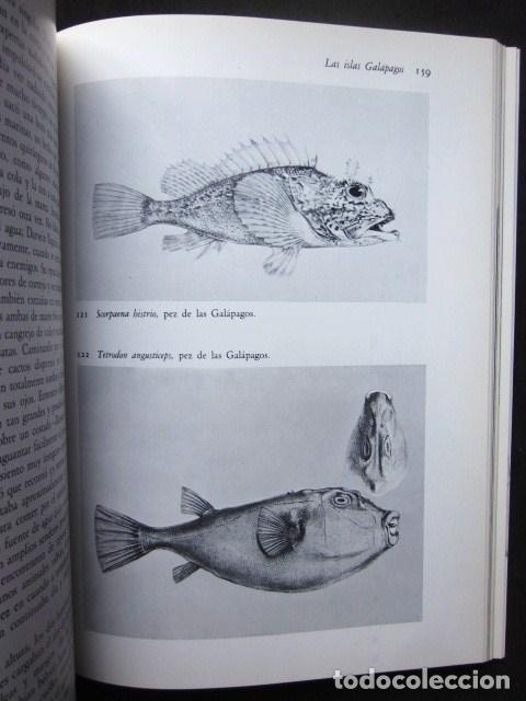 Libros: Alan Moorehead: Darwin. La expedici&oacute;n en el Beagle (1831-1836), Rese&ntilde;a, 1991 - Foto 9