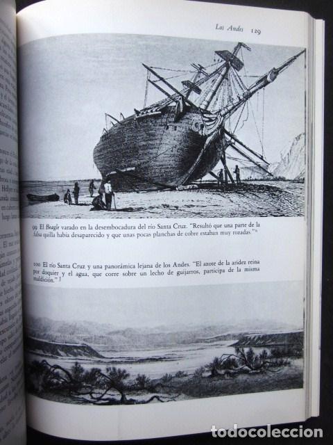 Libros: Alan Moorehead: Darwin. La expedici&oacute;n en el Beagle (1831-1836), Rese&ntilde;a, 1991 - Foto 11