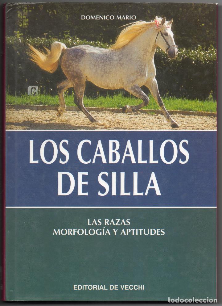 Libros: LOS CABALLOS DE SILLA &middot; LAS RAZAS &middot; MORFOLOG&Iacute;A Y APTITUDES - Foto 1