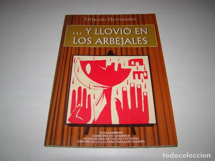 Libros: ... Y llovi&oacute; en los Arbejales - Orlando Hern&aacute;ndez - Foto 1