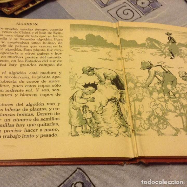 Libros: EL LIBRO DEL VESTIDO . MAUD Y MISKA PETERSHAM . - Foto 3