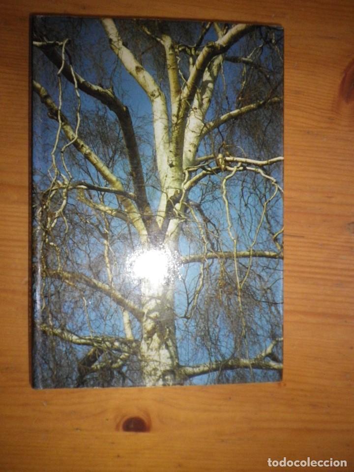 Libros: LIBRO ARBOLES Y ARBUSTOS DE EUROPA  OLEG POLUNIN EDICIONES OMEGA - Foto 3
