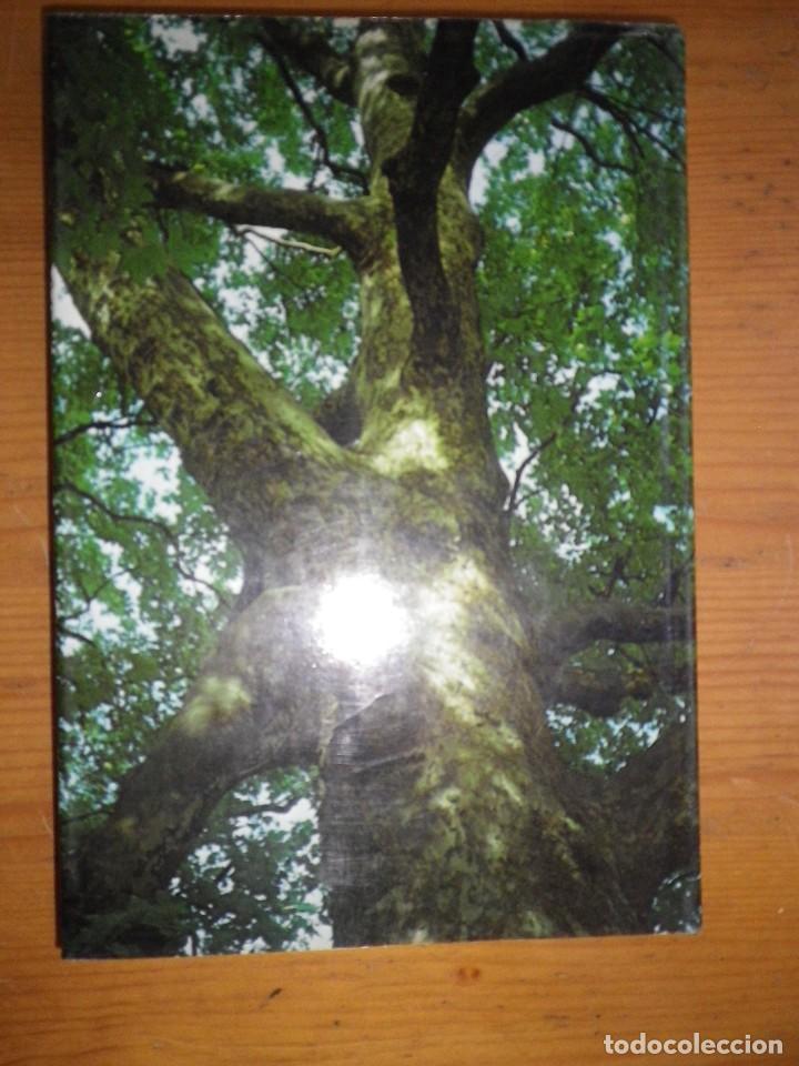 Libros: LIBRO ARBOLES Y ARBUSTOS DE EUROPA  OLEG POLUNIN EDICIONES OMEGA - Foto 4