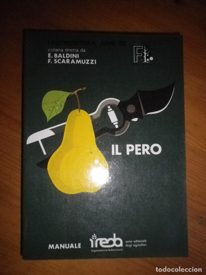 Libros: LA PERA EN ITALIANO - Foto 1