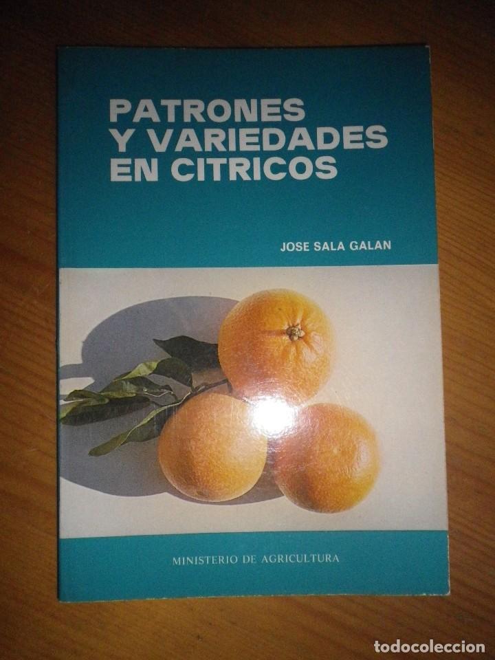 Libros: PATRONES Y VARIEDADES EN CITRICOS JOSE SALA GALAN - Foto 1