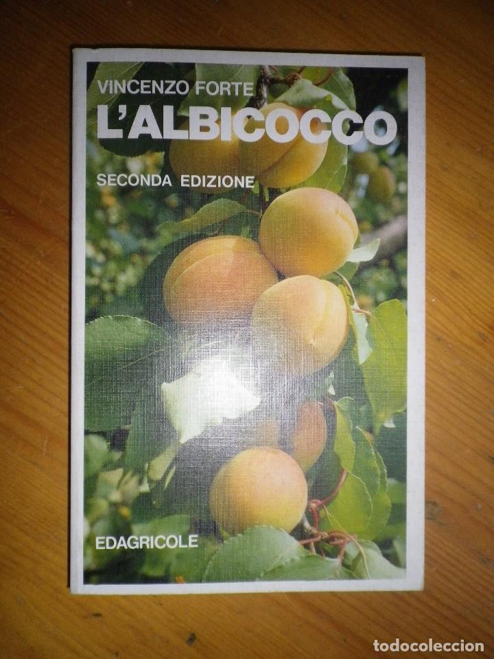 Libros: AL ALBARICOQUE EN ITALIANO - Foto 1