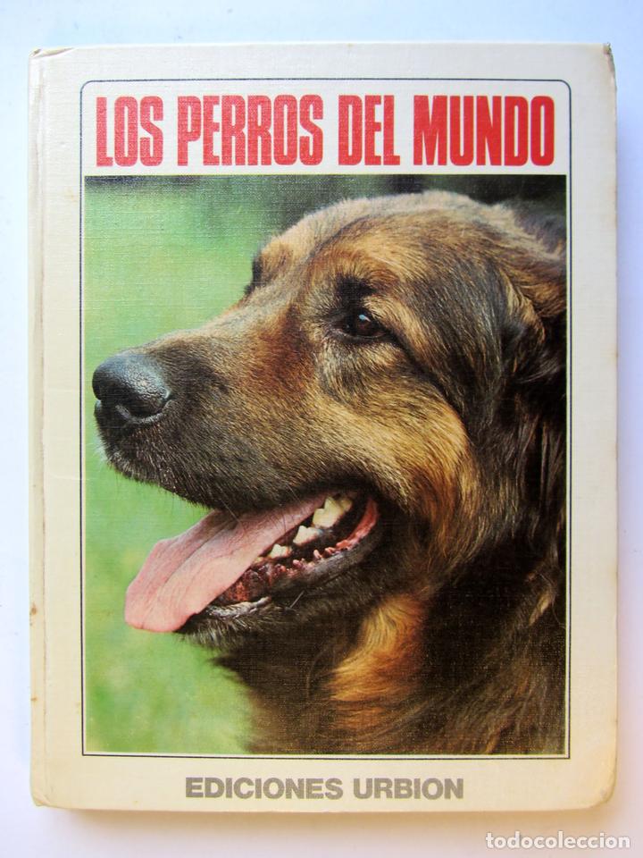 Libros: Los perros del mundo. - Foto 1