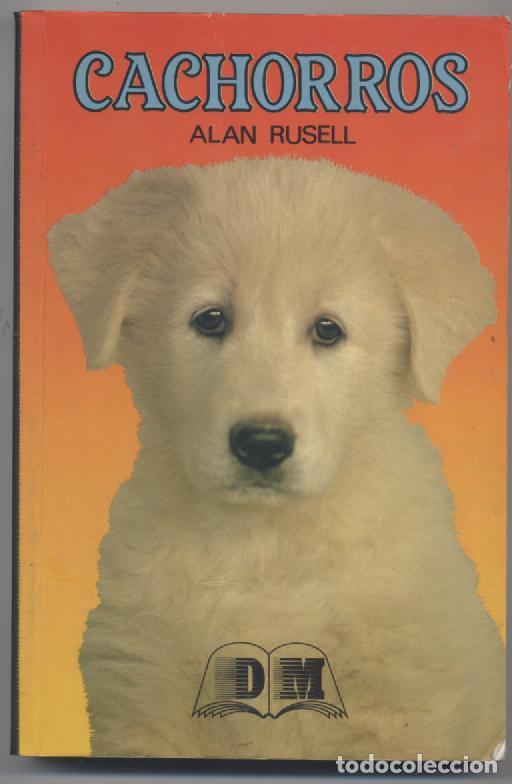 Libros: CACHORROS- ALAN RUSELL - Foto 1