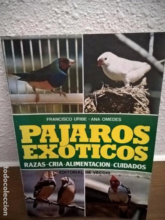 Libros: PAJAROS EXOTICOS, RAZAS, CRIA, ALIMENTACION, CUIDADOS - Foto 1