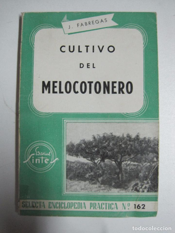 Libros: Cultivo Del Melocotonero / J. Fabregas / Sintes - Foto 1