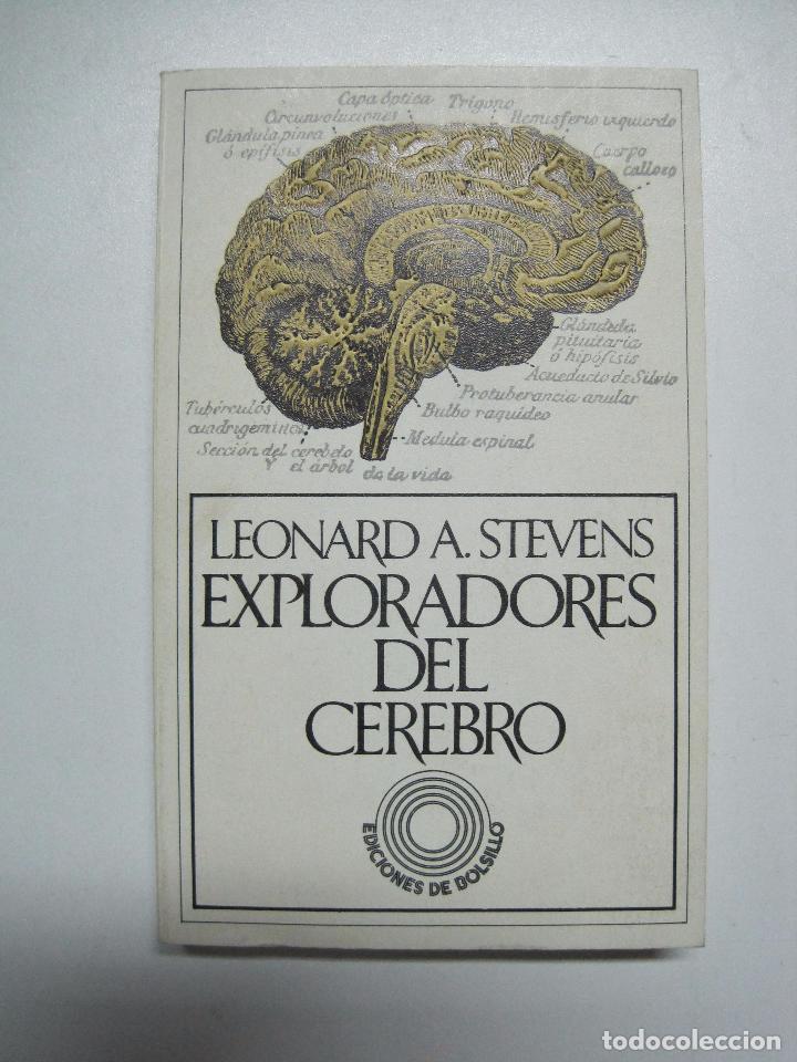 Libros: Exploradores del cerebro / Stevens, Leonard A / Barral - Foto 1
