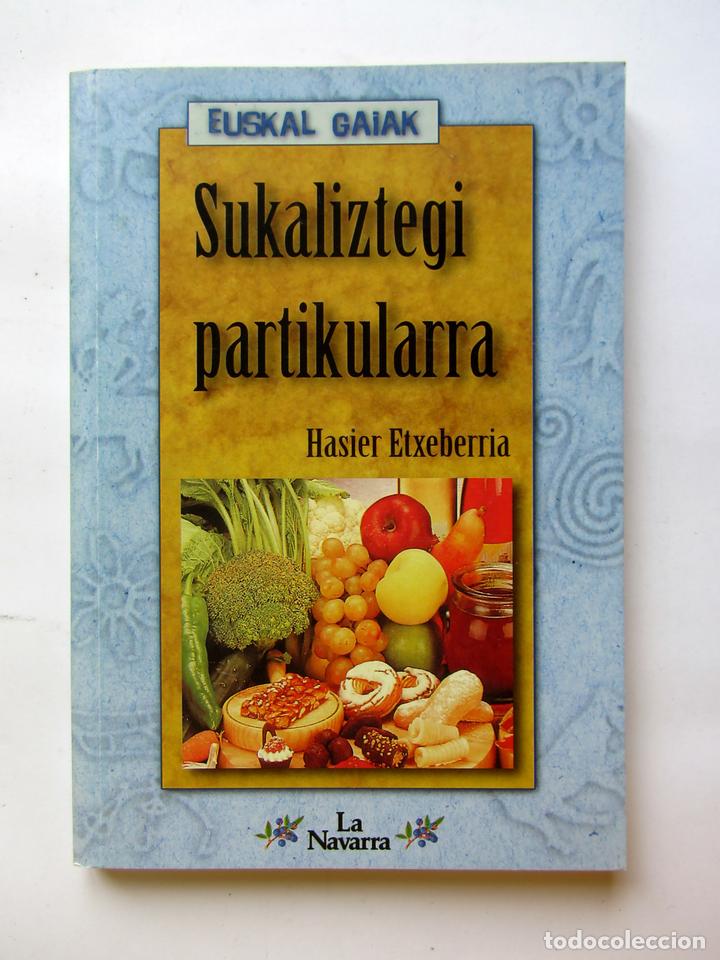 Libros: Sukaliztegi partikularra. Hasier Etxeberria - Foto 1