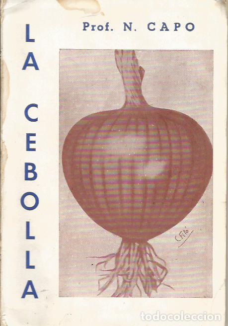 Libros: LA CEBOLLA - Capo,Prof.N. - Foto 1