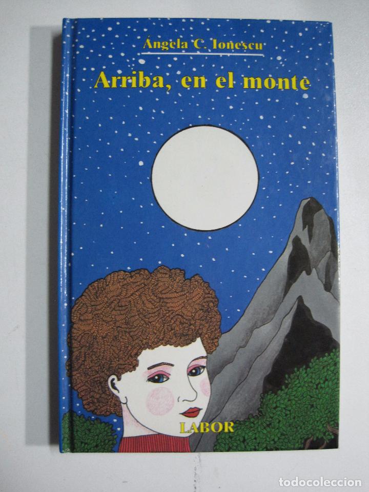 Libros: Arriba, en el monte / &Aacute;ngela C. Ionescu - Foto 1