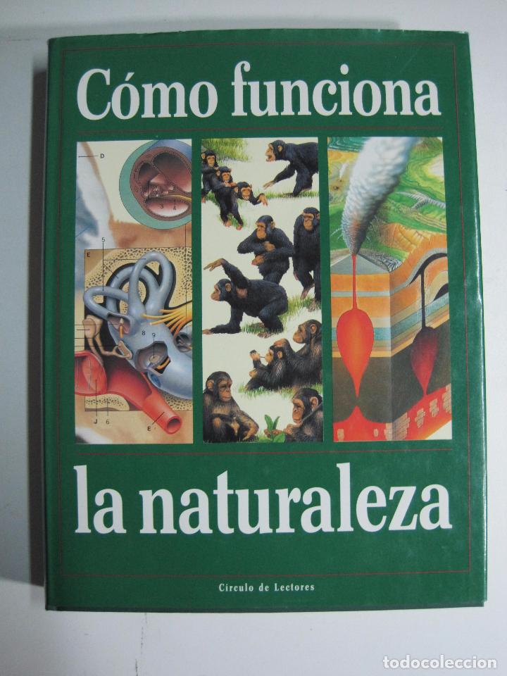 Libros: Como funciona la naturaleza / Varios autores - Foto 1