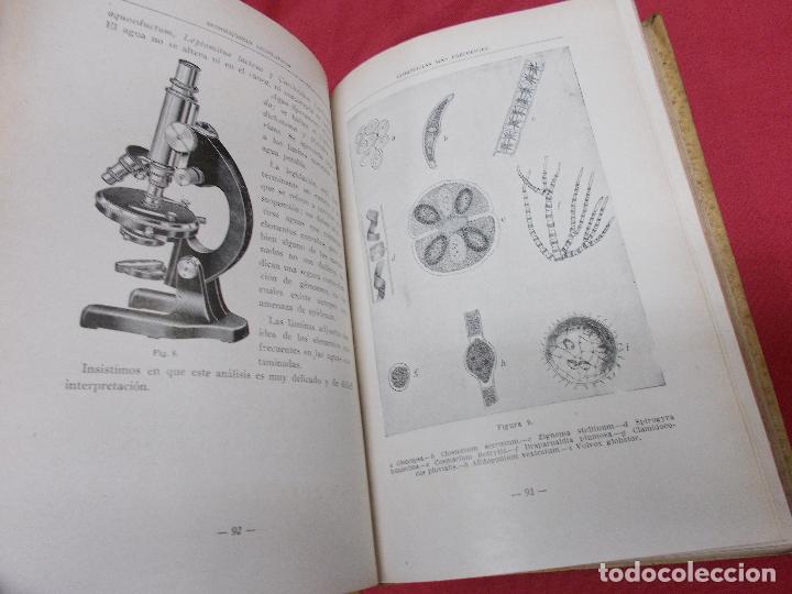 Libros: AN&Aacute;LISIS DE ALIMENTOS. MIGUEL COMENGE. MADRID. 1936. 2&ordf; EDICI&Oacute;N. - Foto 4