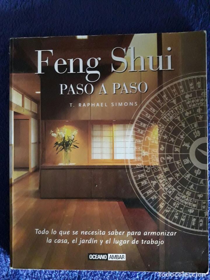 Libros: FENG SHUI PASO A PASO / T. RAPHAEL SIMONS / OCEANO AMBAR / 1&ordf; EDICION 2001 - Foto 1