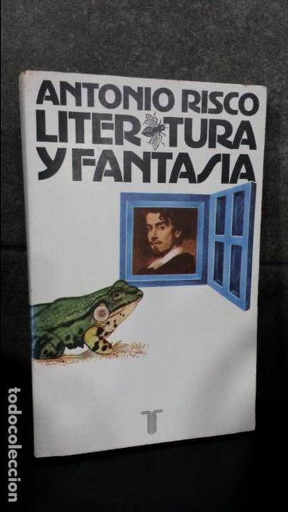 Libros: LITERATURA Y FANTASIA. ANTONIO RISCO. TAURUS 1982. - Foto 1
