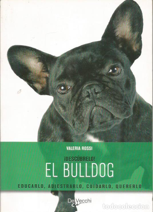 Libros: EL BULLDOG - Rossi,Valeria - Foto 1