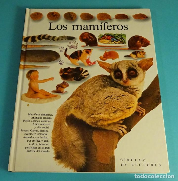 Libros: LOS MAM&Iacute;FEROS. STEVE PARKER. C&Iacute;RCULO DE LECTORES - Foto 1