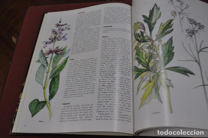 Libros: herbes per a tot - violet stevenson - FFB - Foto 2