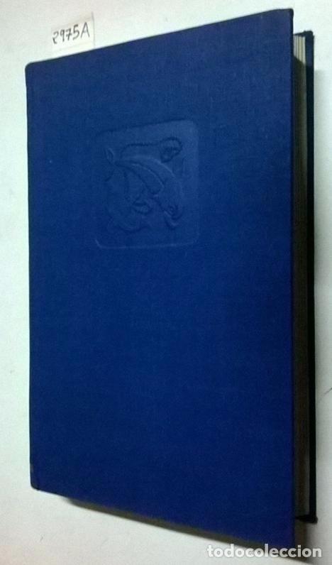 Libros: CUMBRES BORRASCOSAS - BRONT&Euml;, Emily - Foto 3
