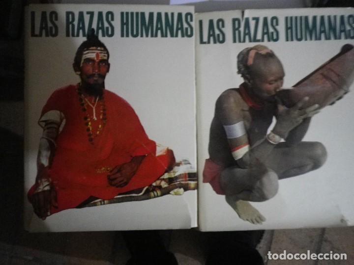 Libros: LAS RAZAS HUMANAS INSTITUTO GALLACH 1973 - Foto 1