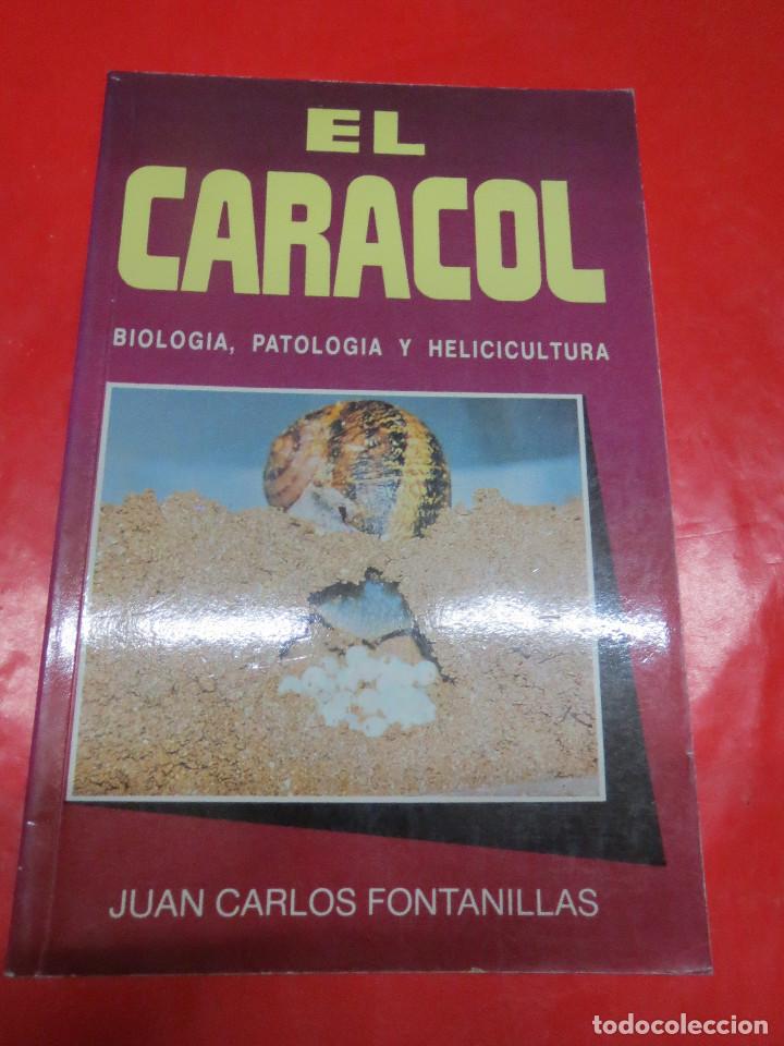 Libros: EL CARACOL BIOLOGIA,PATOLOGIA Y HELICULTURA,JUAN CARLOS FONTANILLAS 1989.EDICIONES MUNDI-PRENSA.