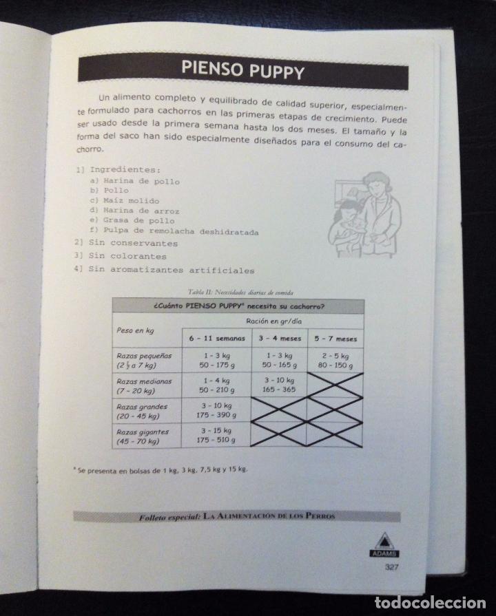 Libros: WORD 2000 - EJERCICIOS PARA OPOSICIONES - EDITORIAL ADAMS 2007. - Foto 11
