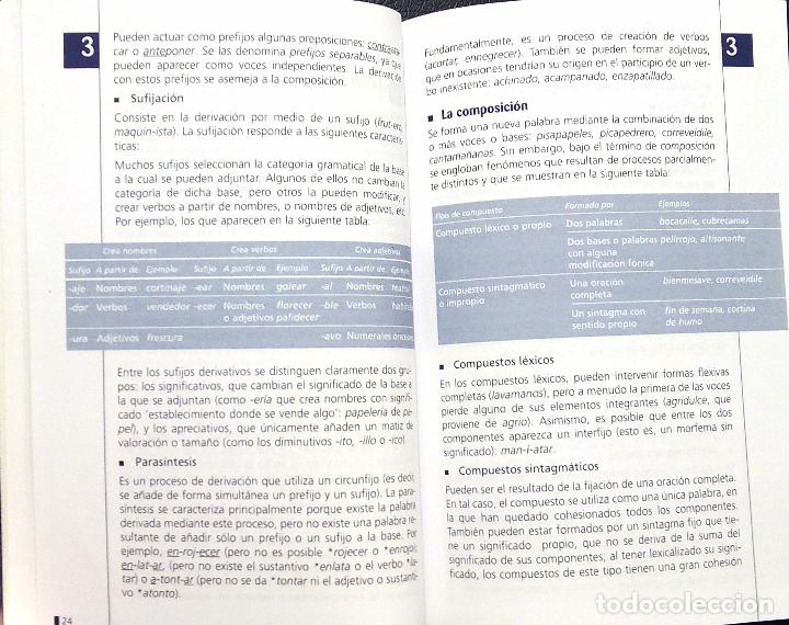 Libros: GRAM&Aacute;TICA LENGUA ESPA&Ntilde;OLA - VOX - PRIMERA EDICI&Oacute;N 2004. - Foto 4