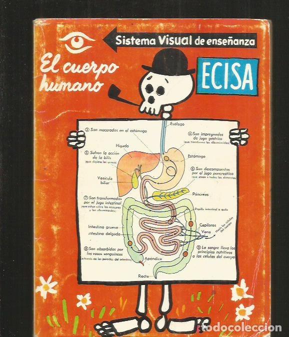 Libros: CUERPO HUMANO - EL - VARIOS - Foto 1