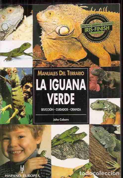 Libros: IGUANA VERDE - LA. SELECCION, CUIDADO, CRIANZA - COBORN, JOHN - Foto 1