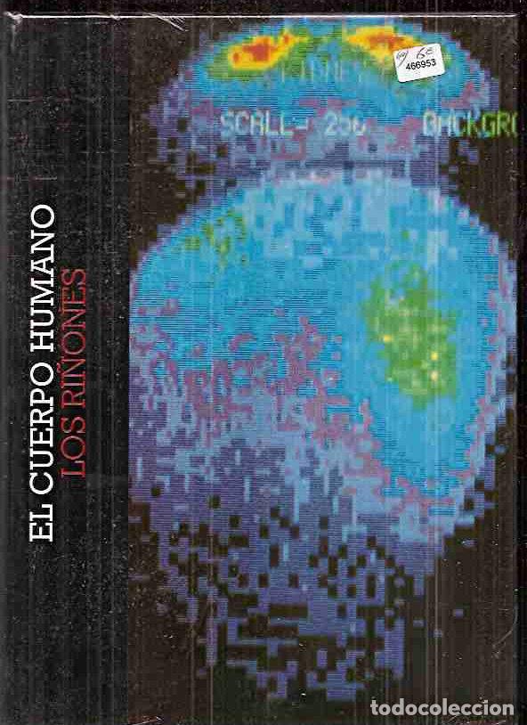 Libros: CUERPO HUMANO - EL: LOS RI&Ntilde;ONES - VARIOS - Foto 2