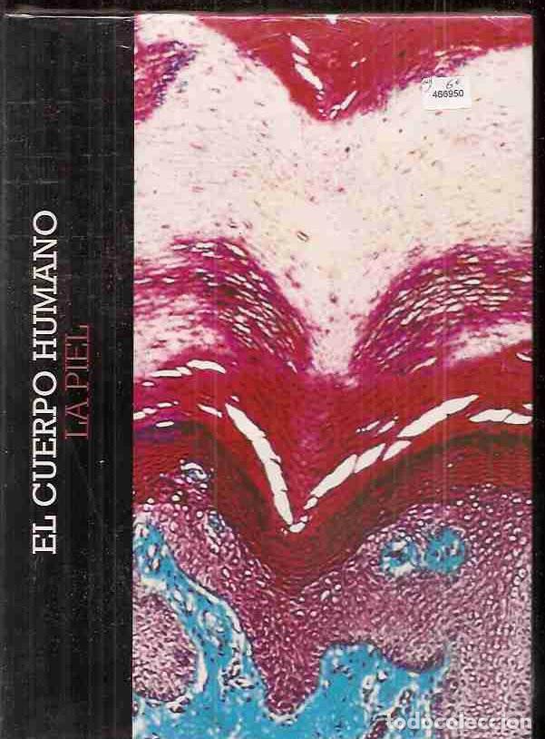 Libros: CUERPO HUMANO - EL: LA PIEL - VARIOS - Foto 2