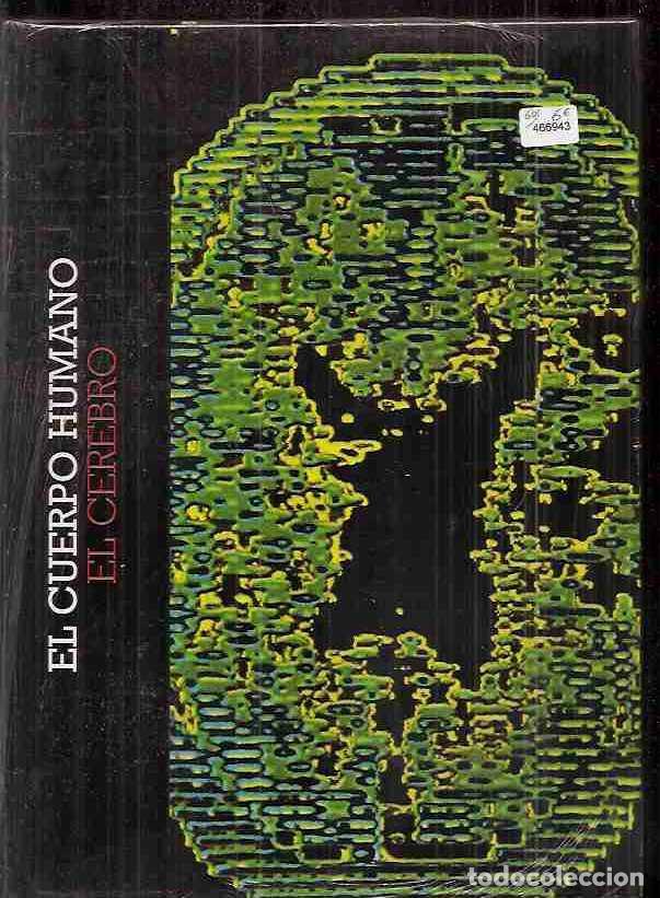 Libros: CUERPO HUMANO - EL: EL CEREBRO - VARIOS - Foto 2