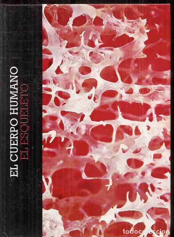 Libros: CUERPO HUMANO - EL: EL ESQUELETO - VARIOS - Foto 2
