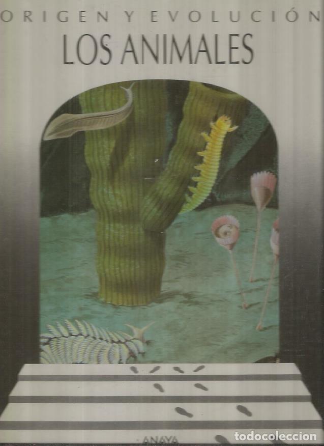 Libros: ANIMALES - LOS - SASSO, CRISTIANO DAL - Foto 5