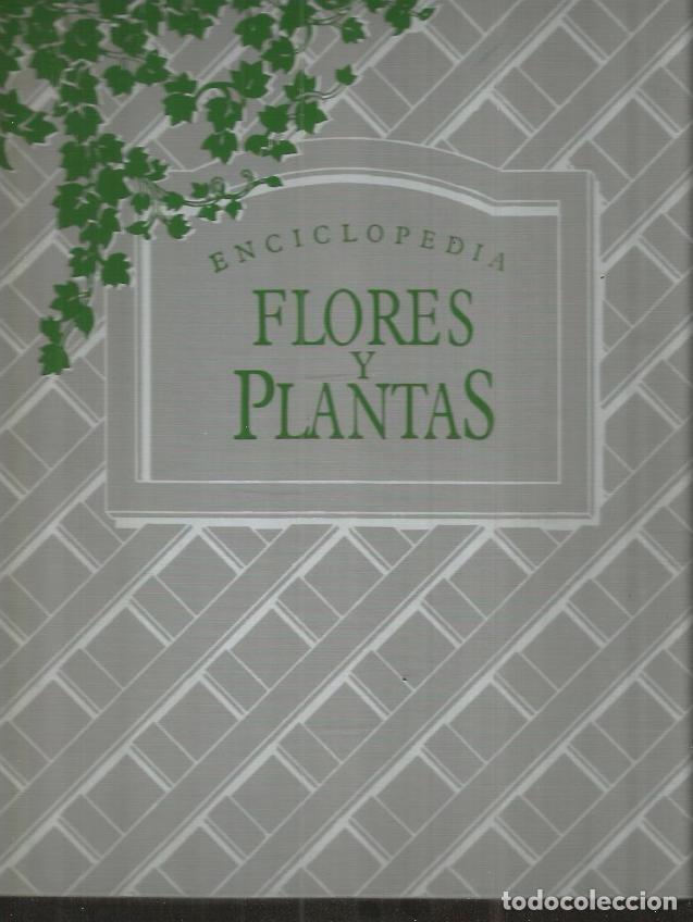 Libros: ENCICLOPEDIA FLORES Y PLANTAS (4 TOMOS) - VARIOS - Foto 2