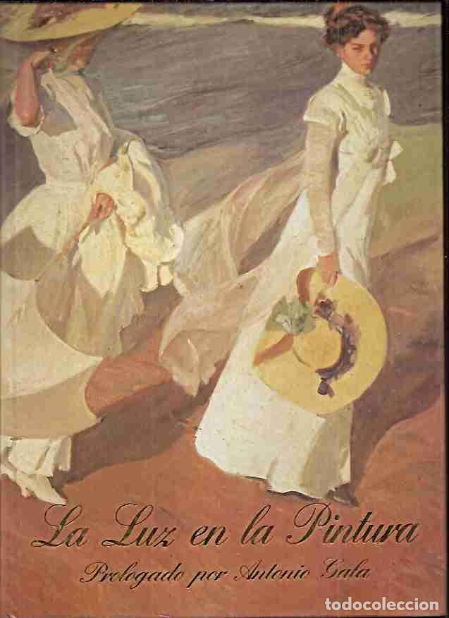 Libros: LUZ EN LA PINTURA - LA - MARTINEZ-NOVILLO, ALVARO - Foto 1