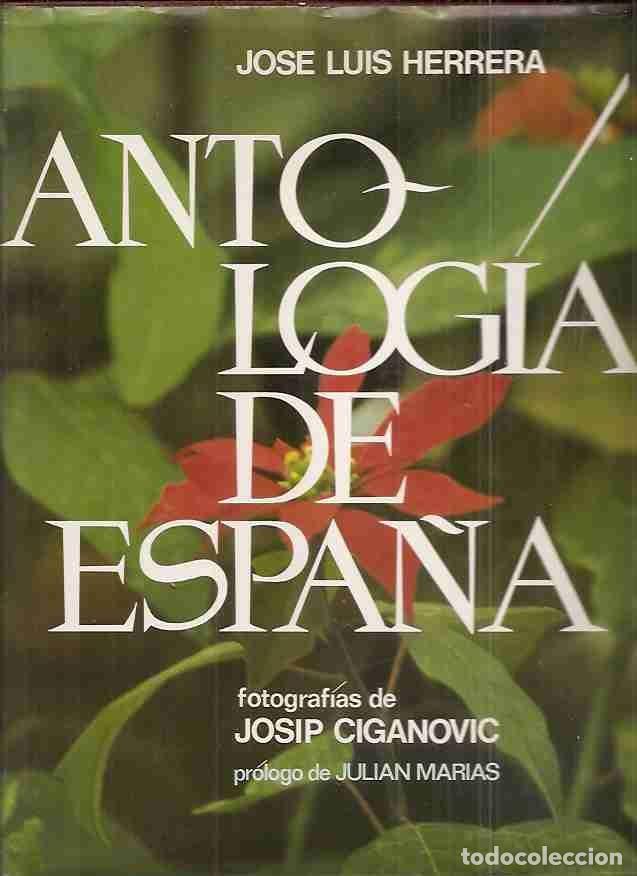Libros: ANTOLOGIA DE ESPA&Ntilde;A - HERRERA, JOSE LUIS - Foto 1