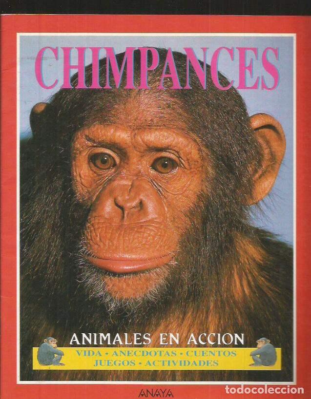 Libros: CHIMPANCES - CORK, BARBARA TAYLOR - Foto 1
