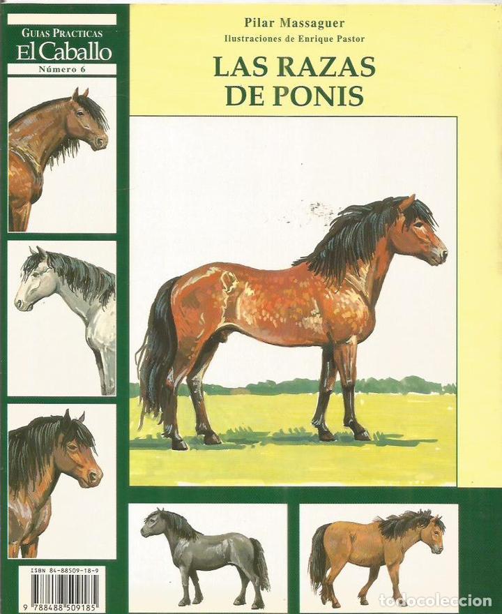 Libros: LAS RAZAS DE PONIS - Massaguer,Pilar - Foto 1