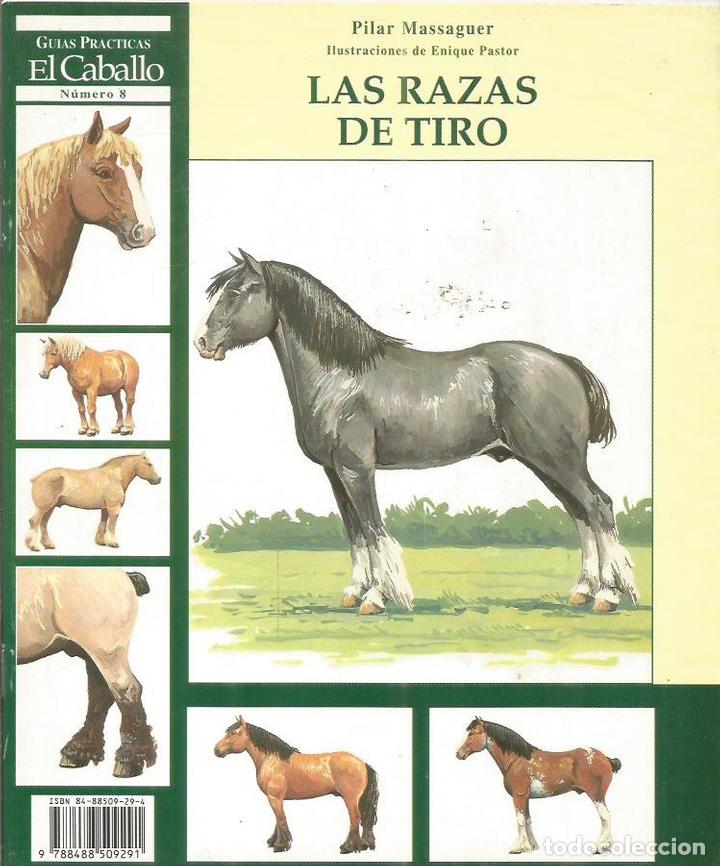 Libros: LAS RAZAS DE TIRO - Massaguer,Pilar - Foto 1