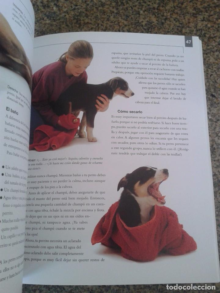 Libros: COMO EDUCAR A TU PERRITO PARA NI&Ntilde;OS -- SARAH WHITEHEAD -- LIBSA - 2003 -- - Foto 2